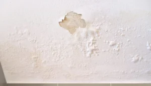 home maintenance, handyman service near me, local handyman service near me