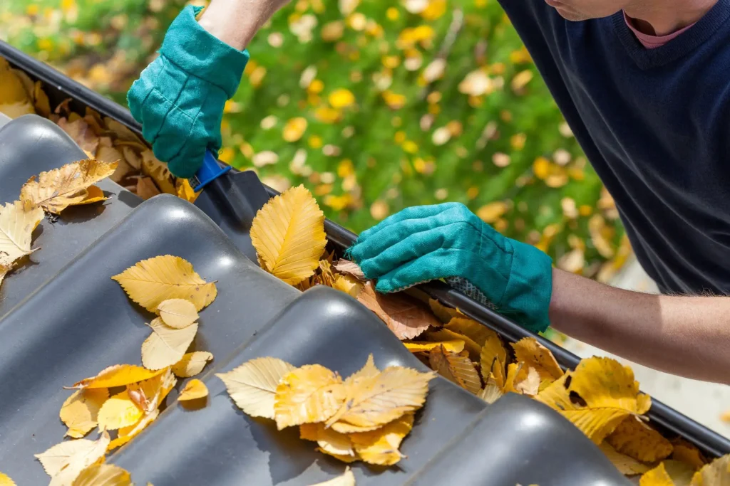 home maintenance, handyman service near me, local handyman service near me