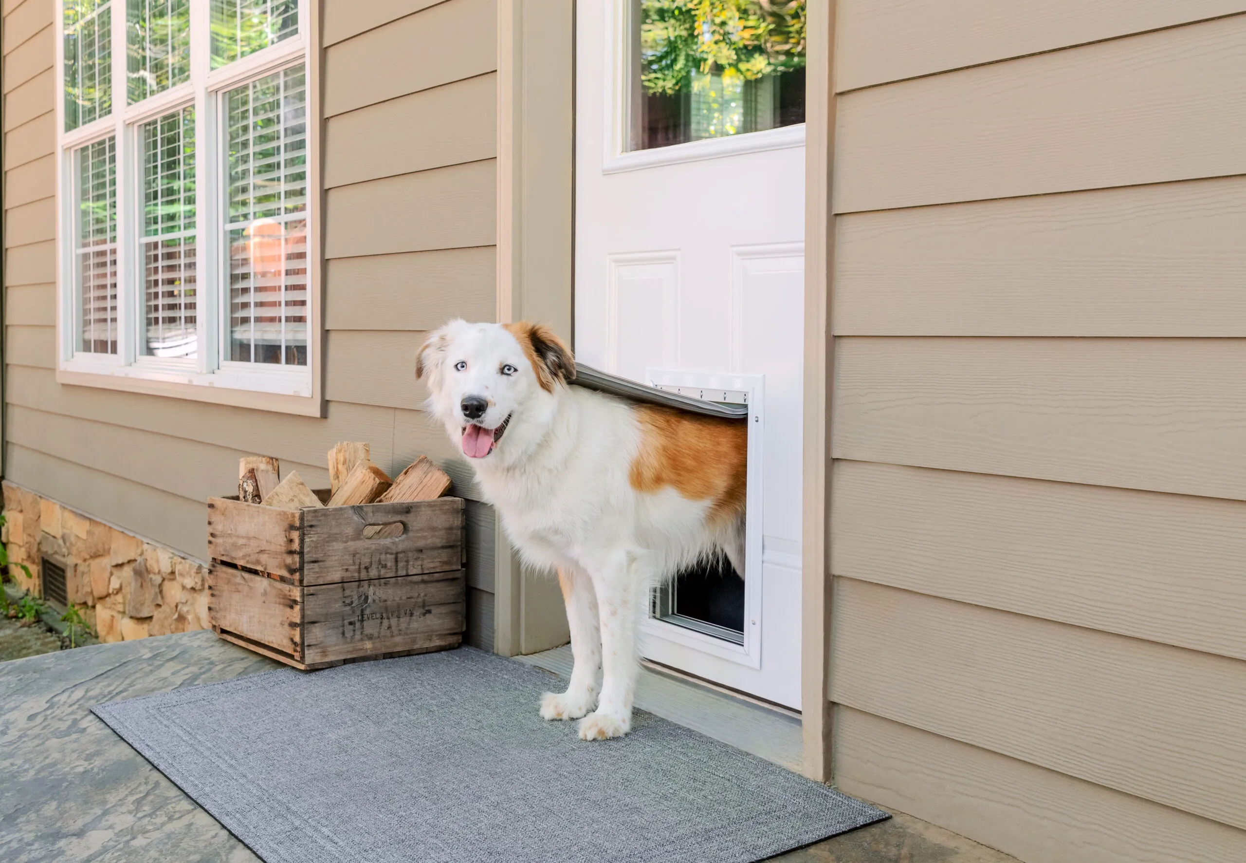 All_About_Dog_Doors_Extreme_Weather_Aluminum_Pet_Door_L_LS_Bear_crop-scaled.jpg